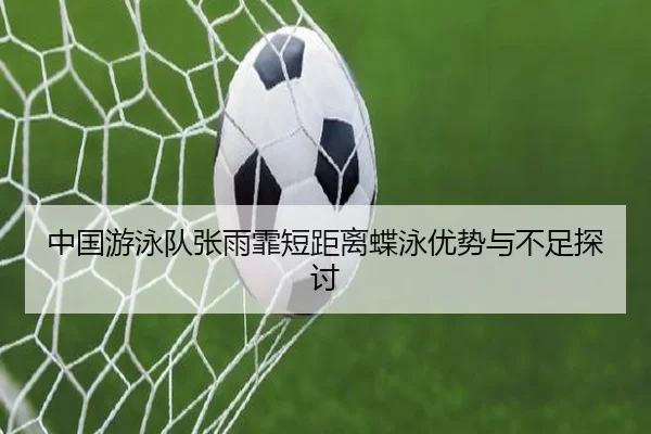 zhong-guo-you-yong-dui-zhang-yu-fei-duan-ju-li-die-yong-you-shi-yu-bu-zu-tan-tao-2-904.jpg